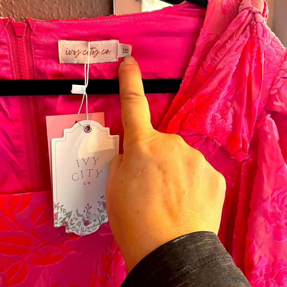NWT Ivy City Co Barbie pink velvet dress